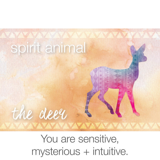 The Deer | Shell + Picture Jasper Mala Beads | Mala Beads Japa Meditation Necklaces Sacred Geometry Healing Spiritual Crystal Collections.
